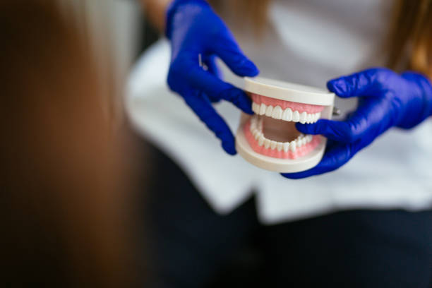  Paramount Long Meadow, MD Holistic Dental Care Services Pros
